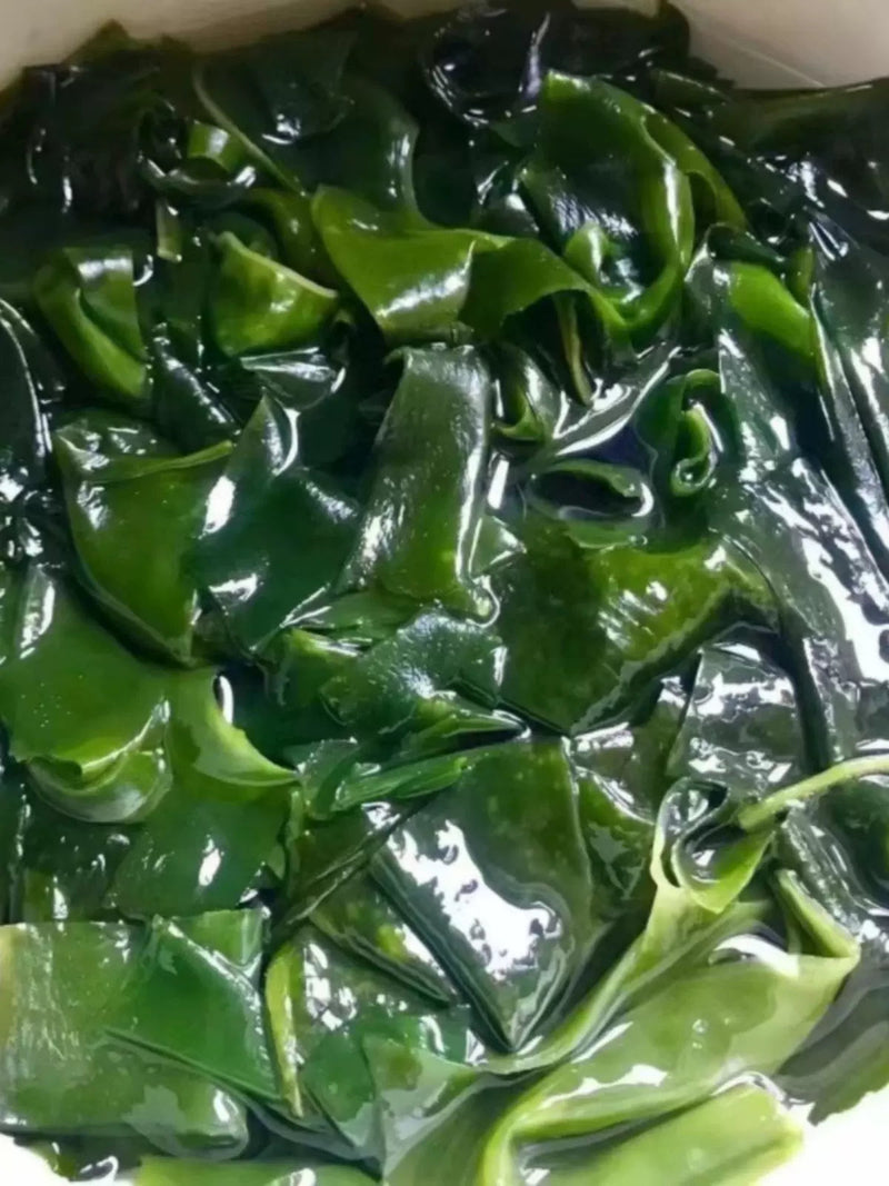 TCM Herbs Powder Luo Xuan Zao 螺旋藻, Dried Sea Food Spirulina, Spirulina platensis-Health Wisdom™