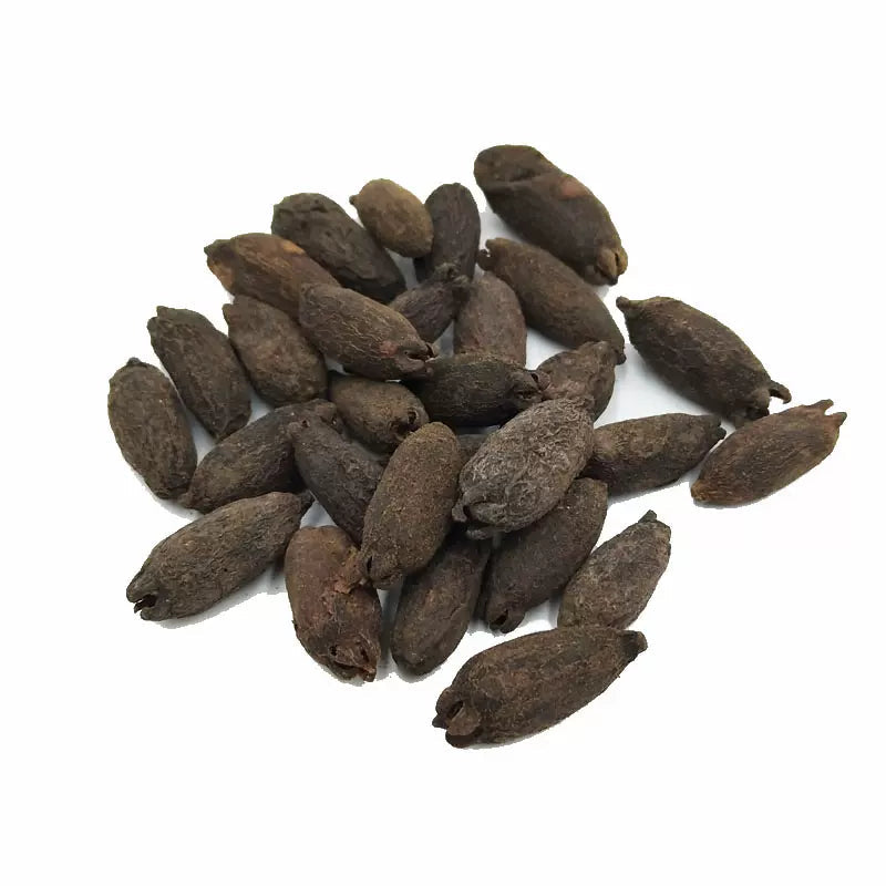 TCM Herbs Powder Mu Ding Xiang 母丁香, Clove Fruit, Fructus Syzygium Aromaticum, Ji She Xiang-Health Wisdom™