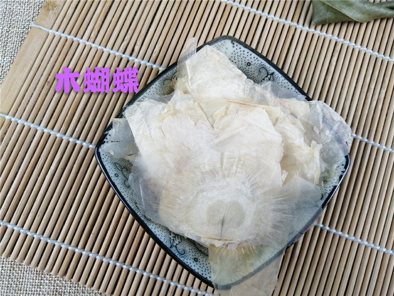 TCM Herbs Powder Mu Hu Die 木蝴蝶, Yu Hu Die, Qiang Zhang Zhi, Semen Oroxyli, Indian Trum etflower Seed-Health Wisdom™