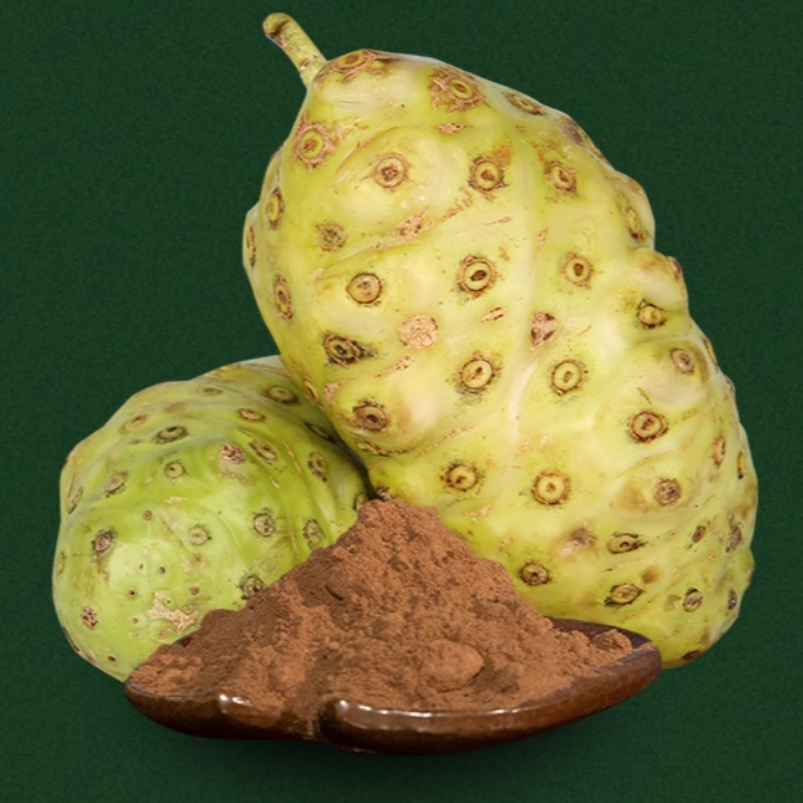 TCM Herbs Powder Nuo Li Guo 诺丽果, Dried Morinda Citrifolia, Dried Noni Fruits Powder, Hai Ba Ji Tian-Health Wisdom™