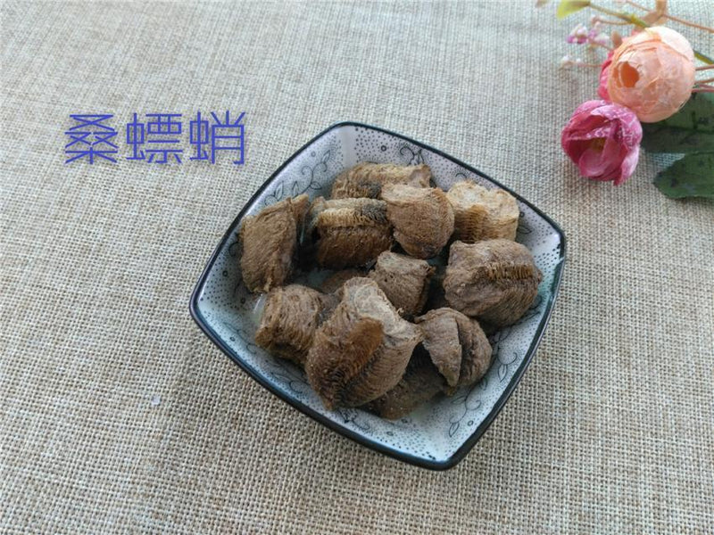 TCM Herbs Powder Sang Piao Xiao 桑螵蛸, Ootheca Mantidis, Praying Mantis Egg-Case-Health Wisdom™