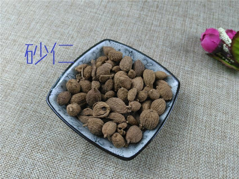 TCM Herbs Powder Sha Ren 砂仁, Fructus Amomi, Villous Amomum Fruit, Cocklebur-like Amomum-Health Wisdom™