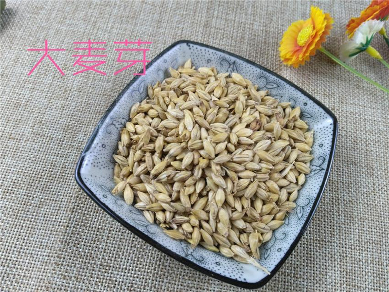 TCM Herbs Powder Sheng Mai Ya 生麥芽, Fructus Hordei Germinatus, Raw Malt-Health Wisdom™
