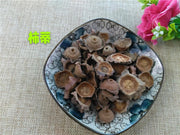 TCM Herbs Powder Shi Di 柿蒂, Calyx Diospyros Kaki, Persimmon Calyx And Receptacle-Health Wisdom™