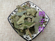 TCM Herbs Powder Shi Zi Ye 柿子葉, Diospyros Kaki Leaf, Folium Persimmon-Health Wisdom™