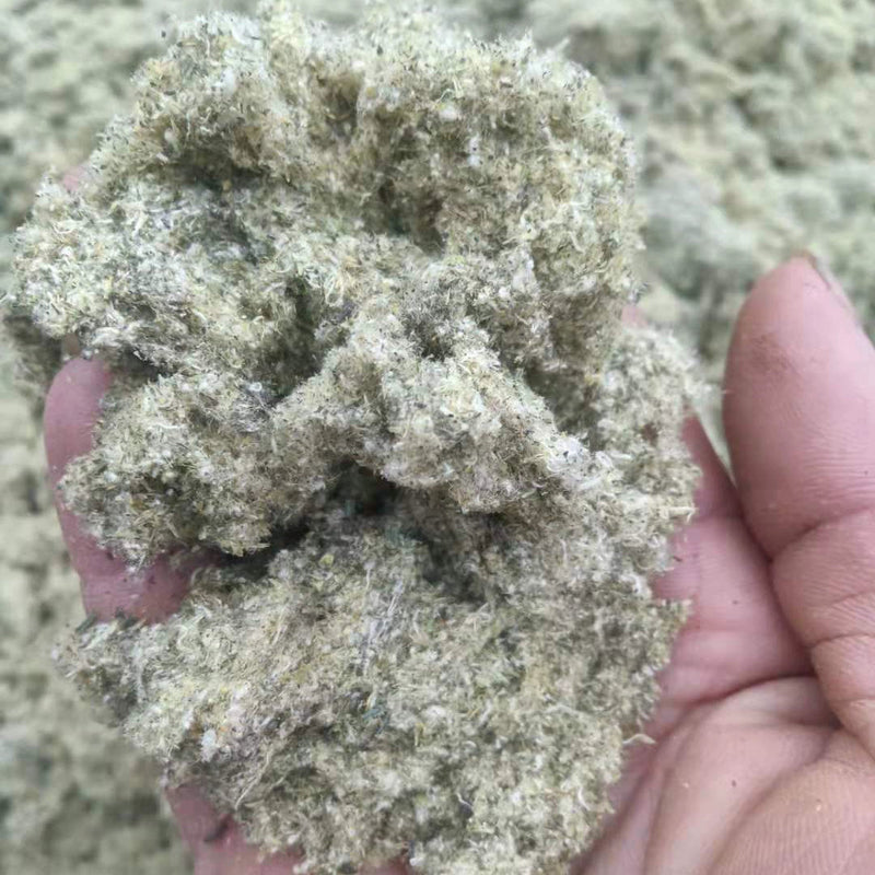 TCM Herbs Powder Shu Qu Cao 鼠曲草, Herba Gnaphalii Hypoleuci, Cudweed, Qing Ming Cai, Tian Ai, Chinese Food Qing Tuan 青团-Health Wisdom™