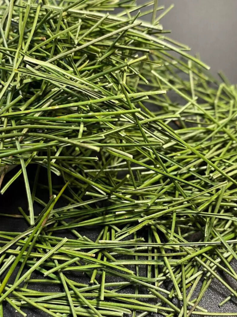 TCM Herbs Powder Song Ye 松葉, Pine Leaf Tea, Folium Pini, Song Zhen 松针, Song Mao-Health Wisdom™