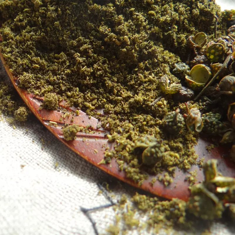 TCM Herbs Powder Spice Qing Hua Jiao 青花椒, Pericarpium Zanthoxyli, Green Pricklyash Peel, Chuan Jiao, Shu Jiao-Health Wisdom™
