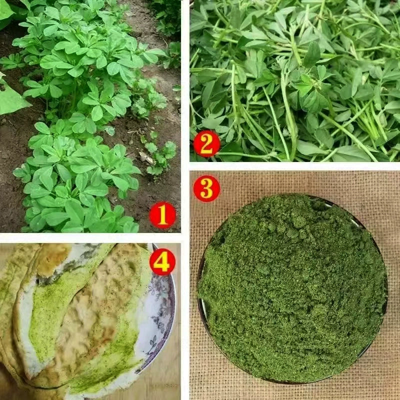 TCM Herbs Powder Spice Xiang Dou Fen 香豆粉, Fenugreek Powder, Ku Dou Fen 苦豆粉-Health Wisdom™