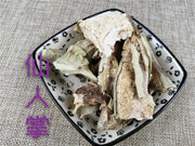 TCM Herbs Powder Xian Ren Zhang 仙人掌, Radix Opuntia Stricta, Cholla Root And Stem-Health Wisdom™