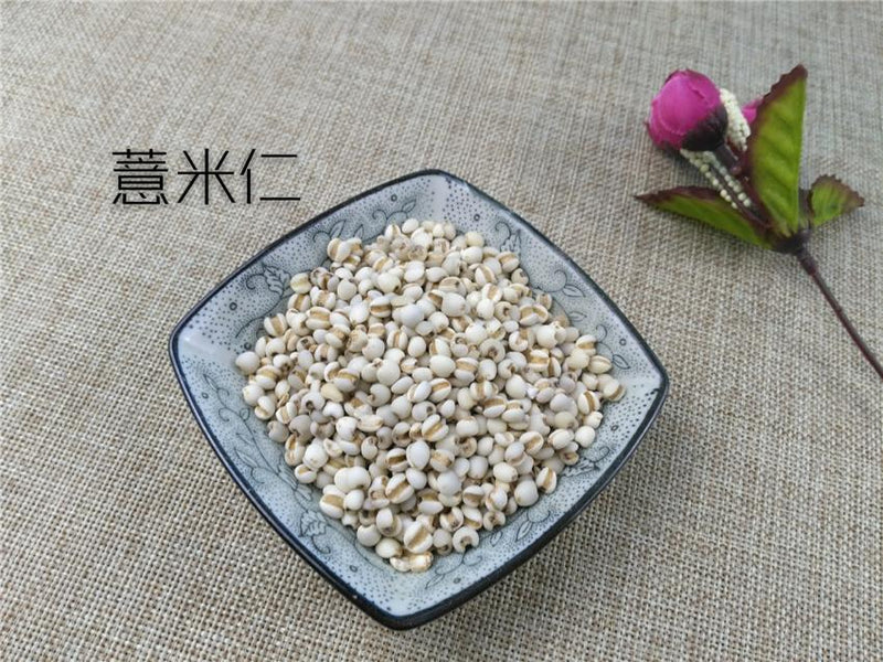 TCM Herbs Powder Yi Yi Ren 薏苡仁, Yi Ren, Yi Mi, Coix Seed, Semen Coicis-Health Wisdom™