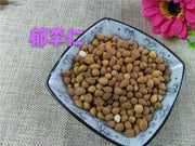 TCM Herbs Powder Yu Li Ren 郁李仁, Semen Pruni, Dwarf Flowering Cherry Seed, Chinese Dwarf Cherry Seed-Health Wisdom™