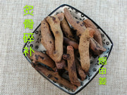 TCM Herbs Powder Zhi Gu Sui Bu 炙骨碎補, Rhizoma Drynariae, Fortune's Drynaria Rhizome, Rou Sui Bu-Health Wisdom™