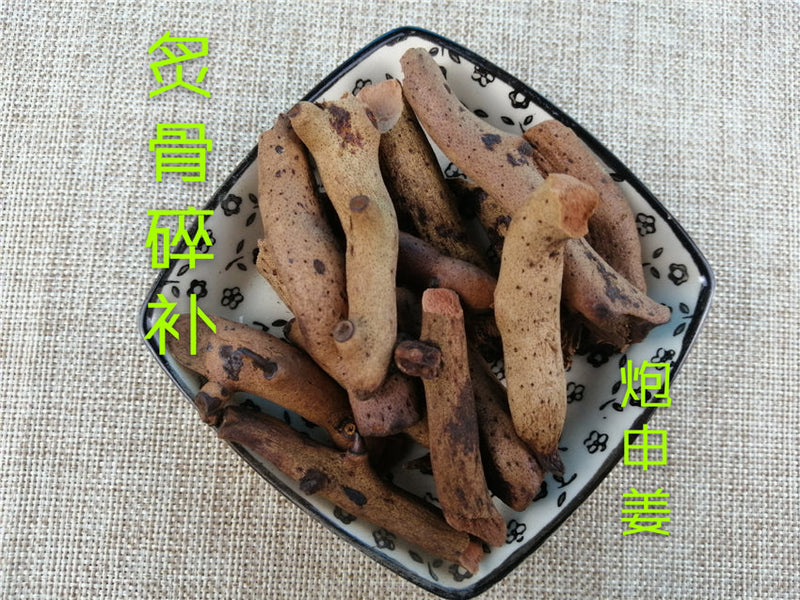 TCM Herbs Powder Zhi Gu Sui Bu 炙骨碎補, Rhizoma Drynariae, Fortune's Drynaria Rhizome, Rou Sui Bu-Health Wisdom™