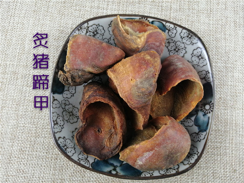 TCM Herbs Powder Zhi Zhu Ti Jia 炙猪蹄甲, Pig's Trotters-Health Wisdom™
