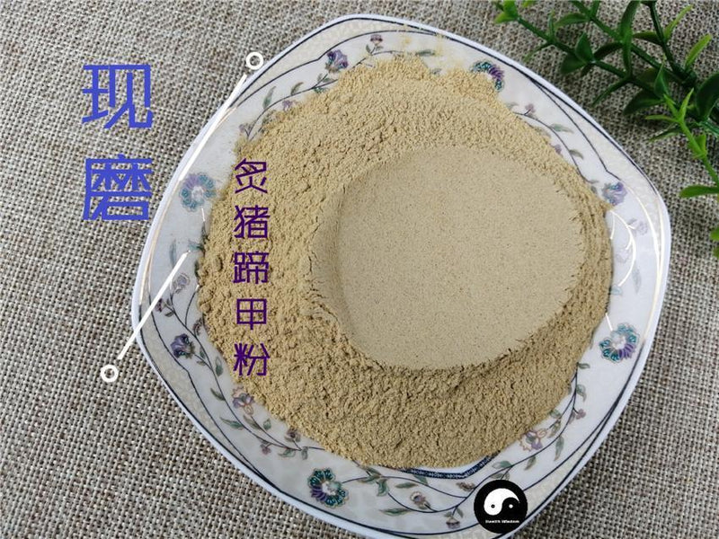 TCM Herbs Powder Zhi Zhu Ti Jia 炙猪蹄甲, Pig's Trotters-Health Wisdom™