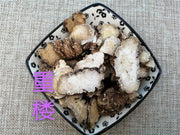 TCM Herbs Powder 重樓, Rhizoma Paridis, Chinese Paris Rhizome-Health Wisdom™