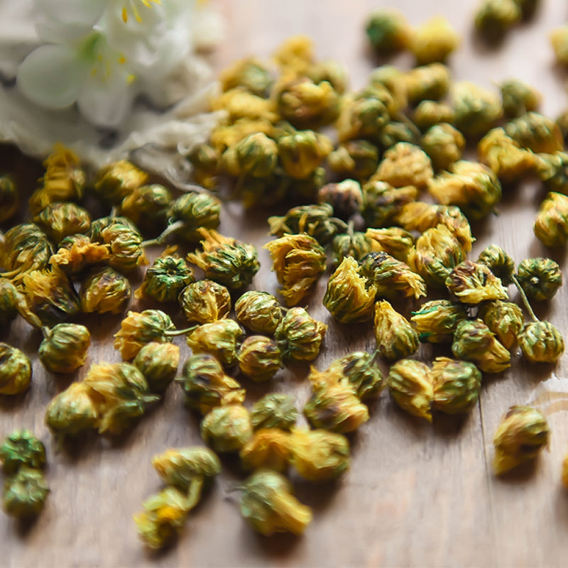 Tai Ju 胎菊, Flos Chrysanthemi, Florists Chrysanthemum Flower Bud-Health Wisdom™