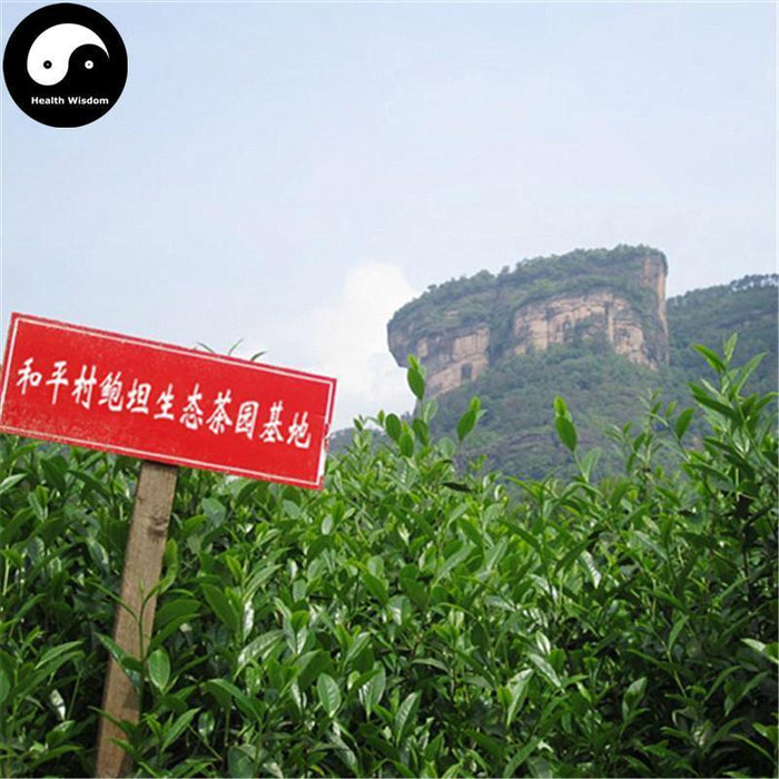 Tai Ping Hou Kui 太平猴魁 Green Tea Monkey King Tea-Health Wisdom™