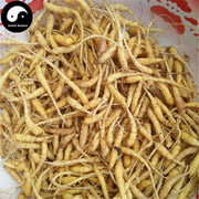 Tai Zi Shen 太子參, Radix Pseudostellariae, Heterophylly Falsestarwort Root-Health Wisdom™