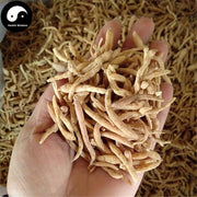 Tai Zi Shen 太子參, Radix Pseudostellariae, Heterophylly Falsestarwort Root-Health Wisdom™