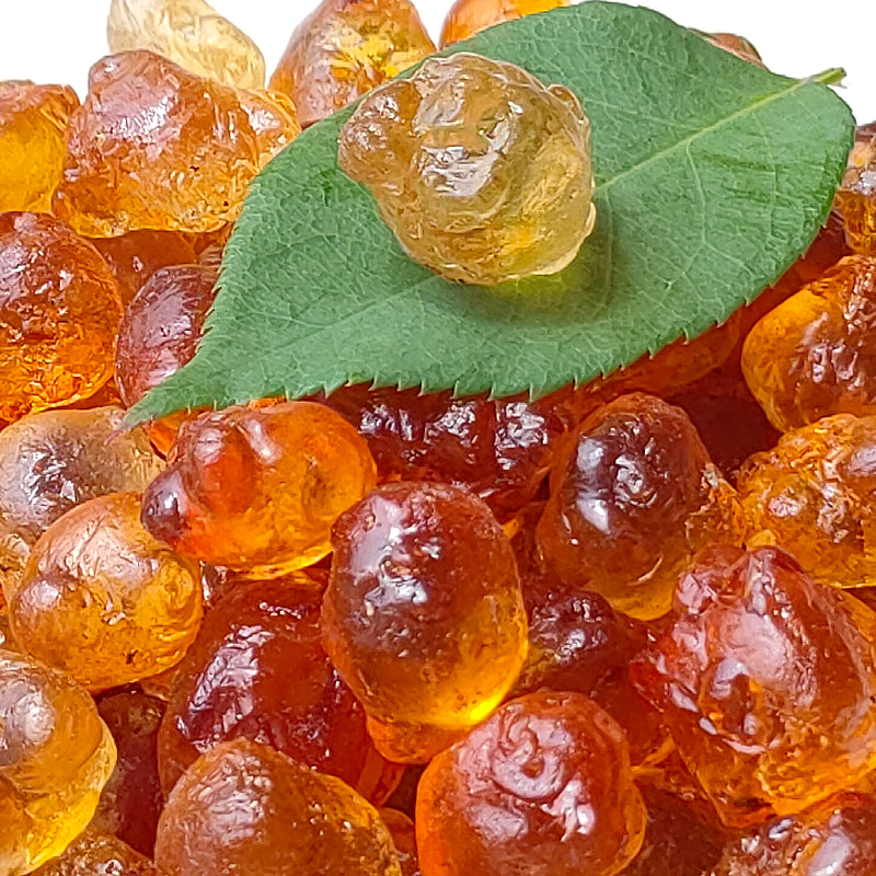 Tao Jiao 桃膠, Dried Peach Resin, Peach Gum-Health Wisdom™
