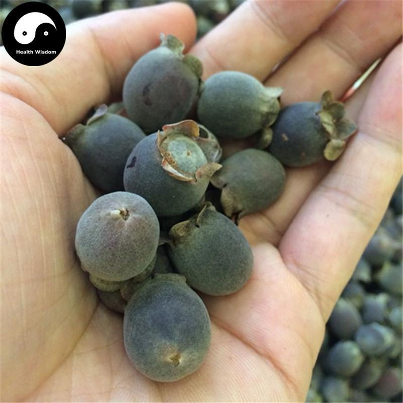 Tao Jin Niang Guo 桃金娘果, Gang Reng Guo, Downy Rosemyrtle Fruit, Zhong Ni-Health Wisdom™