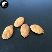 Tao Ren 桃仁, Semen Persicae, Peach Seed-Health Wisdom™