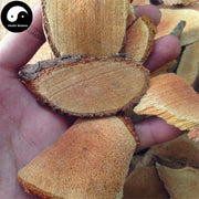 Teng Li Gen 藤梨根, Radix Actinidiae Chinensis, Actinidia Root, Yang Tao Gen, Mi Hou Tao Gen-Health Wisdom™