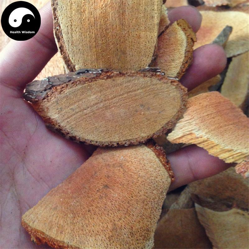 Teng Li Gen 藤梨根, Radix Actinidiae Chinensis, Actinidia Root, Yang Tao Gen, Mi Hou Tao Gen-Health Wisdom™