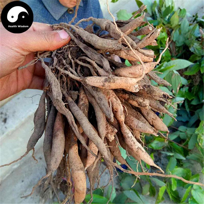 Tian Dong 天冬, Radix Asparagi, Tian Men Dong, Cochinchnese Asparagus Root-Health Wisdom™