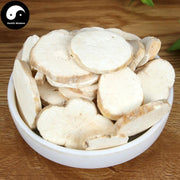 Tian Hua Fen 天花粉, Radix Trichosanthis, Mongolian Snakegourd Root, Gua Lou Gen-Health Wisdom™