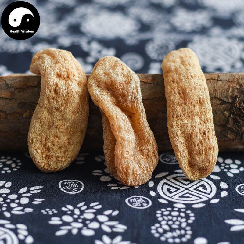 Tian Ma Gen 天麻根, Rhizoma Gastrodiae, Tall Gastrodia Tuber, Gastrodia Elata Root-Health Wisdom™