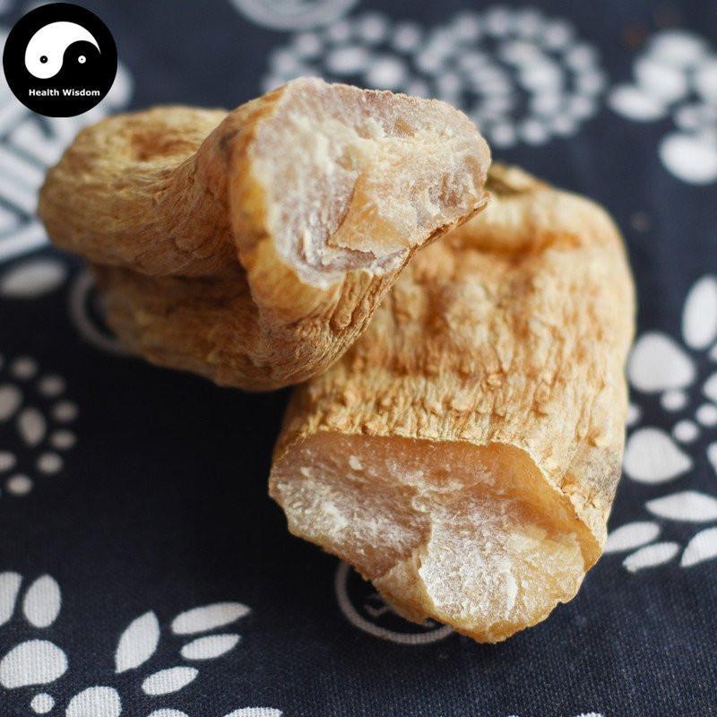 Tian Ma Gen 天麻根, Rhizoma Gastrodiae, Tall Gastrodia Tuber, Gastrodia Elata Root-Health Wisdom™