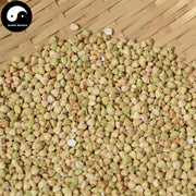 Tian Qiao Mai 甜荞麦, Sweet Buckwheat Tea-Health Wisdom™