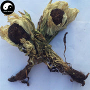 Tian Shan Xue Lian Hua 天山雪蓮花, Herba Saussureae Involucratae, Snow Lotus Herb-Health Wisdom™
