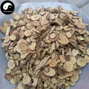 Tian Tai Wu Yao 天台烏藥, Radix Linderae, Combined Spicebush Root-Health Wisdom™