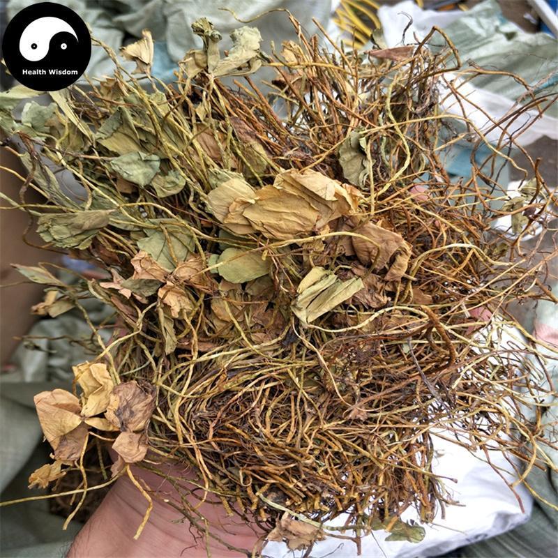 Tian Zi Cao 田字草, Herba Marsilea Quadrifolia, Marsile Herb-Health Wisdom™