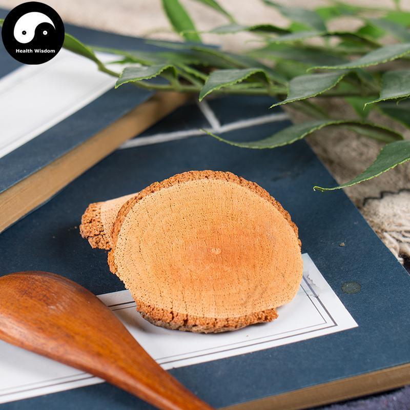 Tie Li Ba 铁篱笆, Paliurus Ramosissimus Root, Ma Jia Zi Gen-Health Wisdom™