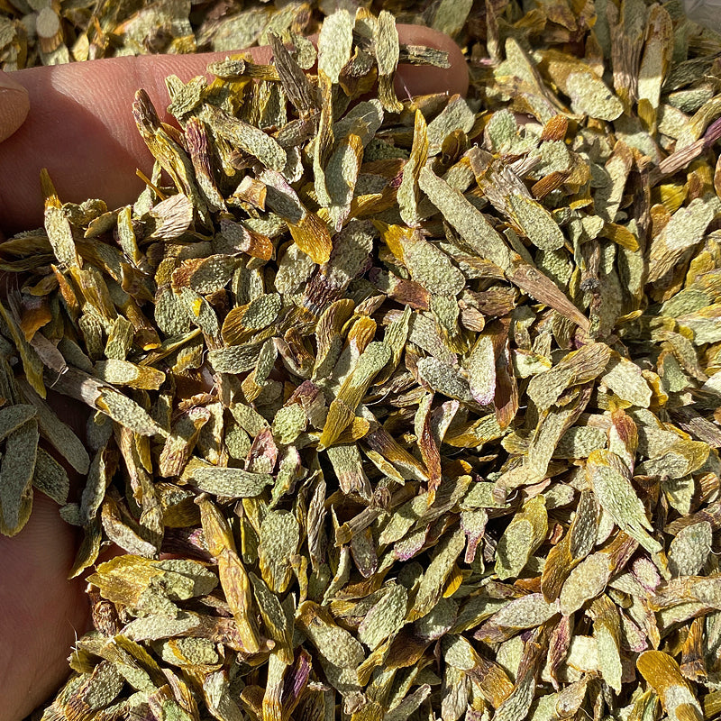 Tie Pi Shi Hu 鐵皮石斛, Dendrobium Officinale, Dried Cut Dendrobium, Shihu-Health Wisdom™