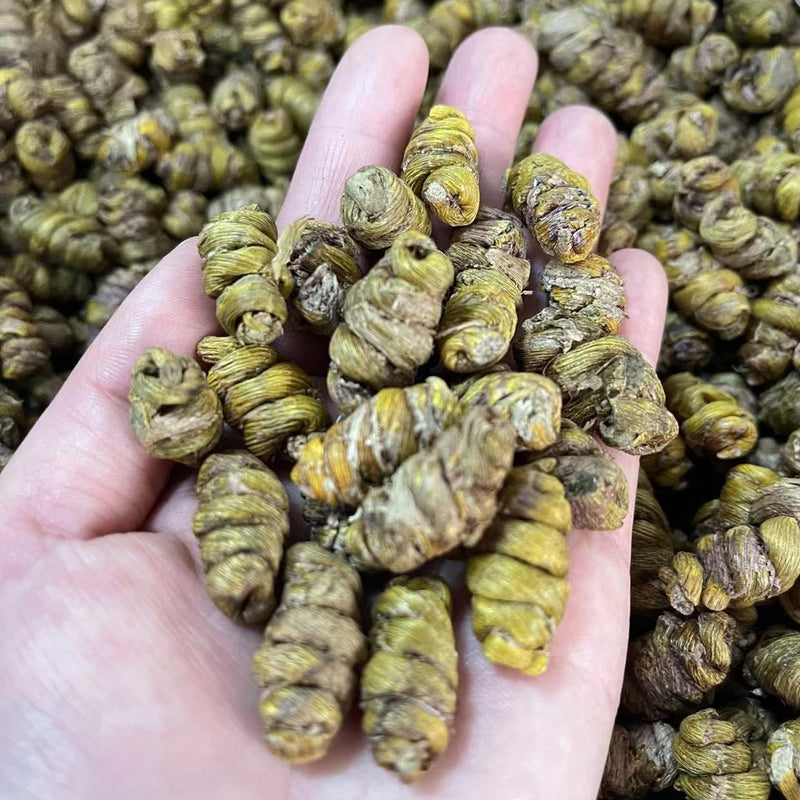 Tie Pi Shi Hu 鐵皮石斛, Dendrobium Officinale, Dried Dendrobium, Shihu-Health Wisdom™