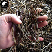 Tie Pi Shi Hu 鐵皮石斛, Dendrobium Officinale, Whole Dendrobium, Shihu-Health Wisdom™