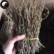 Tie Pi Shi Hu 鐵皮石斛, Dendrobium Officinale, Whole Dendrobium, Shihu-Health Wisdom™