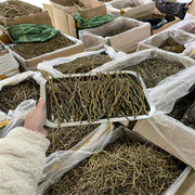 Tie Pi Shi Hu 鐵皮石斛, Dendrobium Officinale, Whole Dendrobium, Shihu-Health Wisdom™