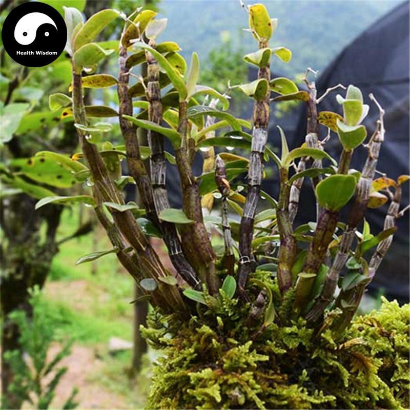 Tie Pi Shi Hu 鐵皮石斛, Dendrobium Officinale, Whole Dendrobium, Shihu-Health Wisdom™