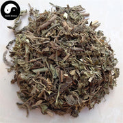 Tie Xian Cai 鐵莧菜, Copperleaf Herb, Herba Acalyphae-Health Wisdom™