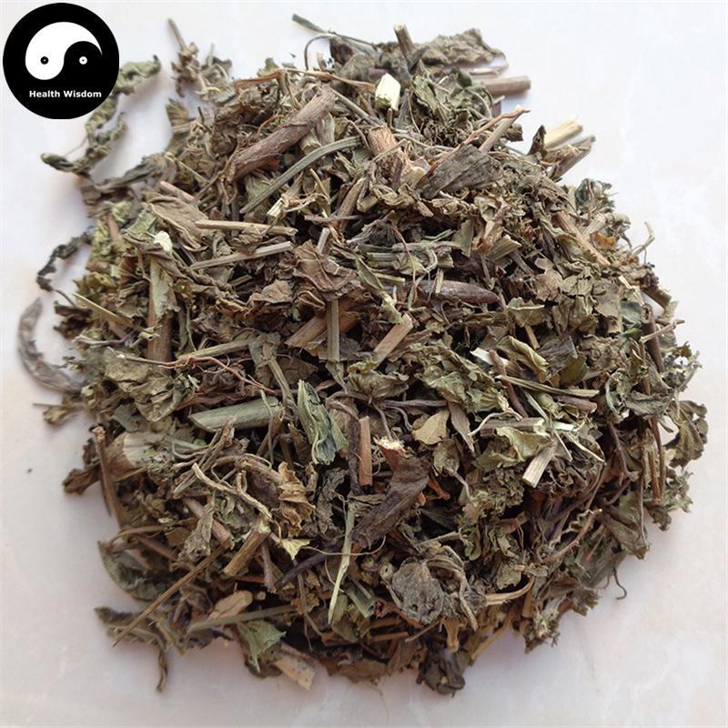 Tie Xian Cai 鐵莧菜, Copperleaf Herb, Herba Acalyphae-Health Wisdom™