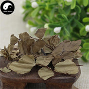 Tie Xian Jue 铁线蕨, Herba Adiantum Capillus-veneris, Zhu Zong Cao, Shui Zhu Mao Qi-Health Wisdom™