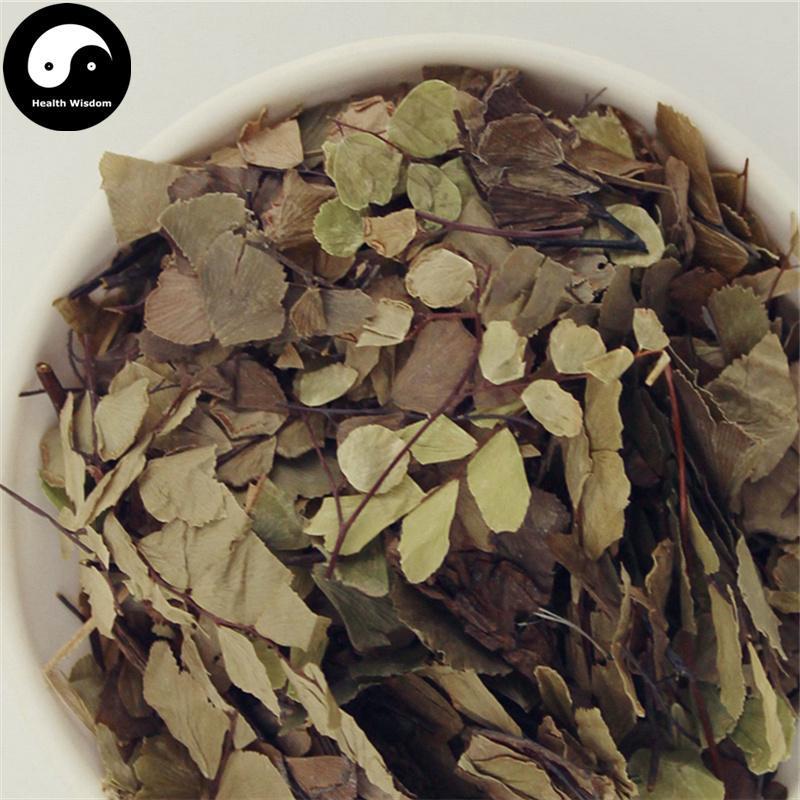Tie Xian Jue 铁线蕨, Herba Adiantum Capillus-veneris, Zhu Zong Cao, Shui Zhu Mao Qi-Health Wisdom™