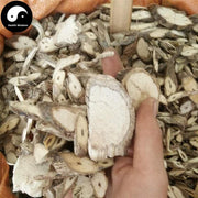 Tong Guan Teng 通關藤, Marsdeniae Tenacissimae Caulis, Wu Gu Teng-Health Wisdom™